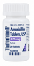 Amoxicillin 875mg Tablets-#20 (NDC#57237-029-20 LOT#SE8725027A)