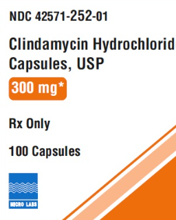 (Cleocin) Clindamycin HCl 300mg capsules-#100 (NDC#42571-0252-01 LOT#yccg212)